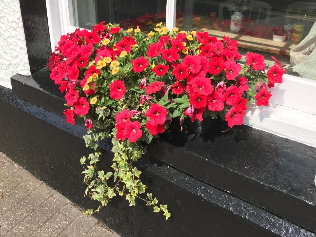 The Three Tuns Hotel Chepstow Luaran gambar